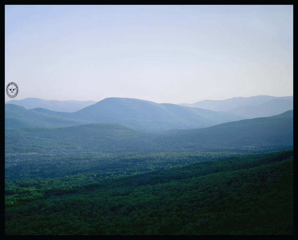 Bearsville Valley, High Summer,

        Evening Light #1 Woodstock, NY 1984
