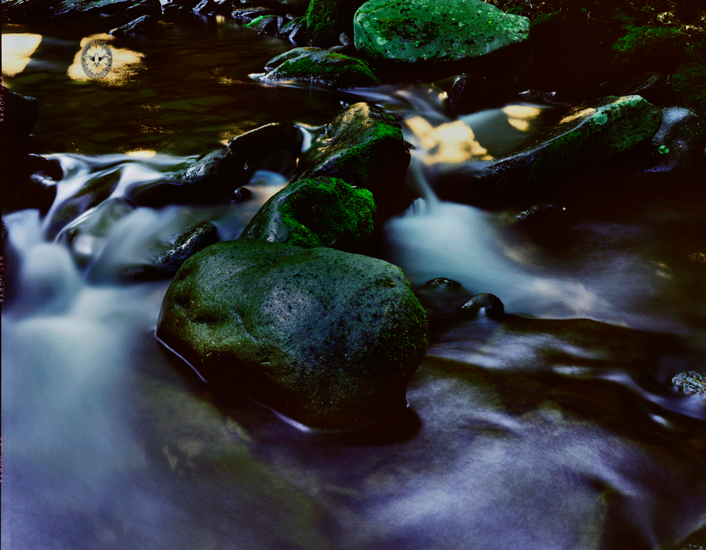 Mink Hollow

        Stream, Deep Shade #2, Lake Hill, NY 1986