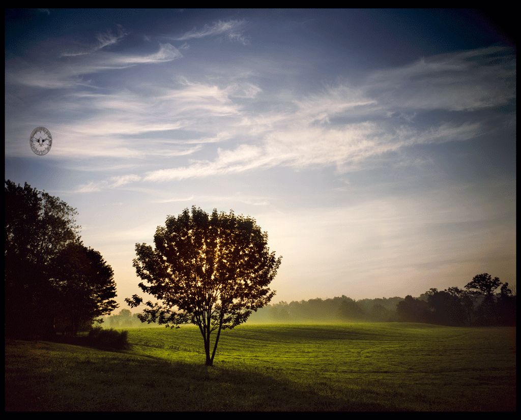 Tree, Spring

        Sunrise, Veteran, NY 1987